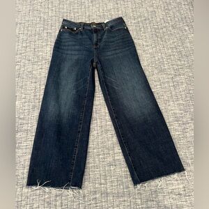 Banana Republic Blue Wide Leg Flare Jeans